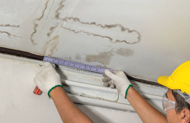 Reliable Mold Remediation contractor in Bellevue, MI by Local Water Damage Repair